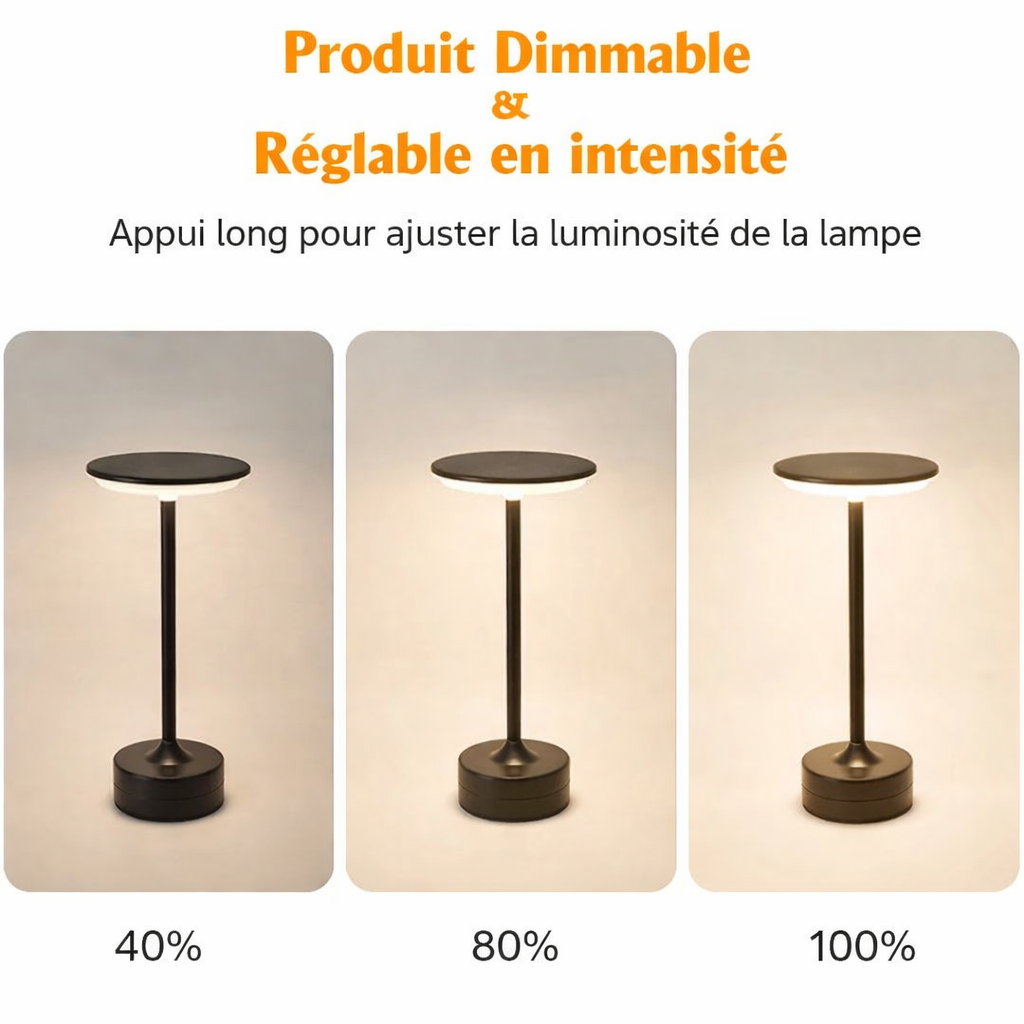 Lampe de Bureau LED Tactile – Rechargeable, Lumiere Douce & Design Elegant